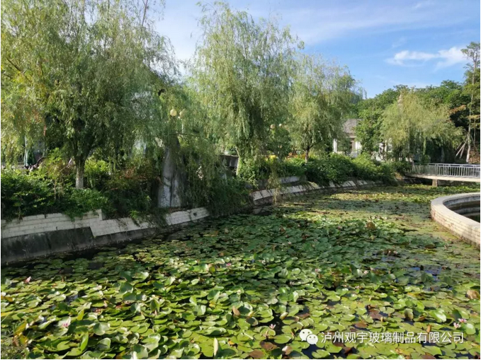 1536714152528767.png 瀘州玻璃酒瓶.png