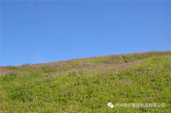 1660811076265228.png 03.png