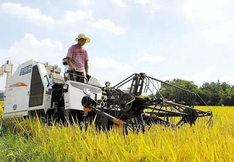 觀宇集團(tuán)開(kāi)展“我為收割隊(duì)伍送清涼”慰問(wèn)活動(dòng)